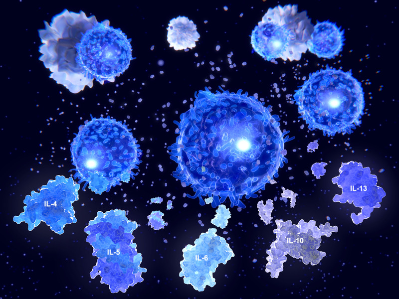 After activation by antigen presenting cells, T helper cells segregate several cytokins IL-4, IL-5, IL-6, IL-9, IL-10 and IL-13